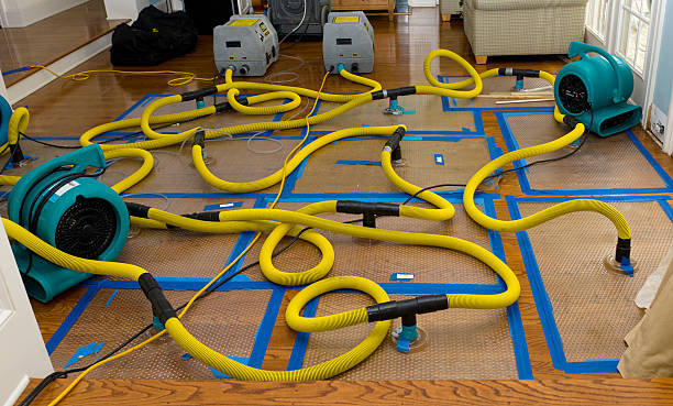 Professional Structural Drying And Dehumidification technician working in Whitesville, WV
